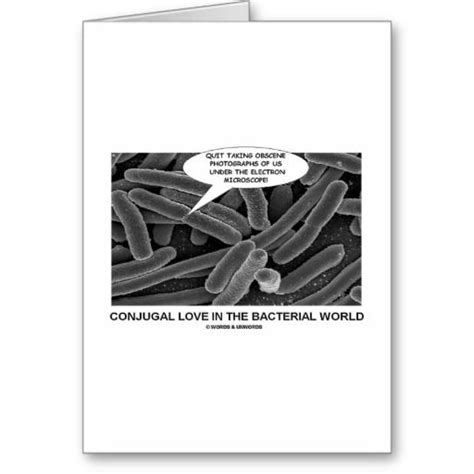 Conjugal Love In The Bacterial World Ts Personalized Ts Cards