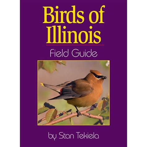 Bird Identification Guides Birds Of Illinois Field Guide Paperback