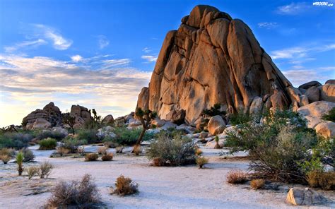 Stany Zjednoczone Kalifornia Park Narodowy Joshua Tree Pustynia Skała