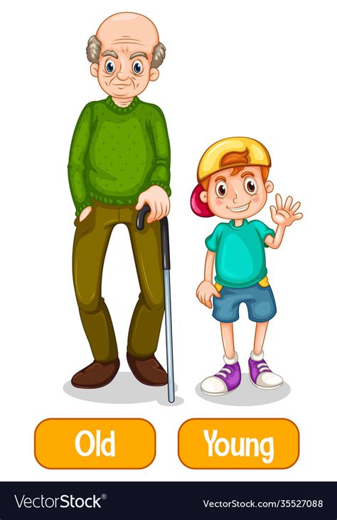 Opposite Adjectives Words With Old And Young Vector Image