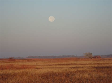 Public Domain Picture Moon Over Prairie Id 13962318616240