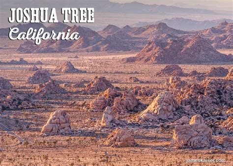 Joshua Tree National Park California Deposition