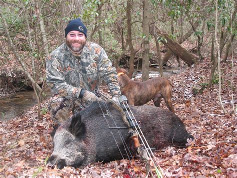 Tennessee Wild Boar, Feral Hog Hunting Lodge | BOAR HUNTS