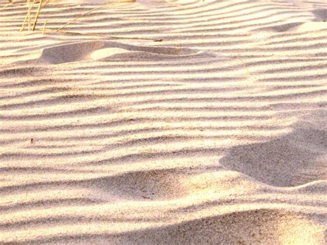 Premium Photo Full Frame Sandy Beach