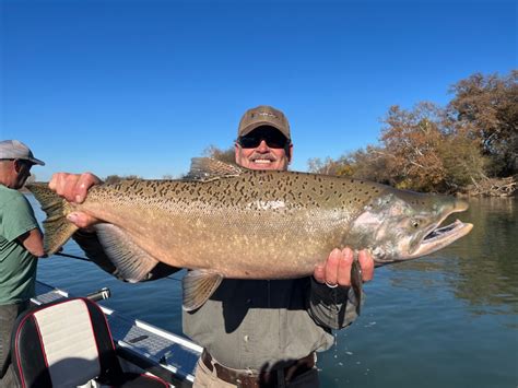 Fishing Sacramento River Salmon Fishing