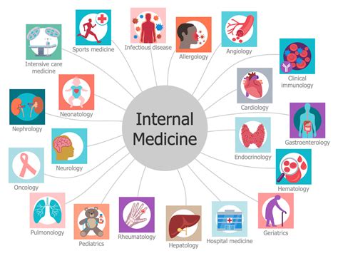 Internal Medicine Diagram Illustrates The Internal Medicine