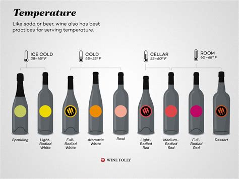 7 Basics To Serving Wine And Glassware Wine Folly Wine Folly Wine Temperature Wine