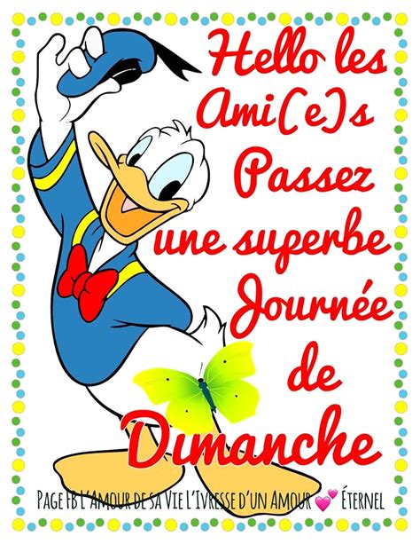 Humour Bonjour Dimanche | Dlhumourd