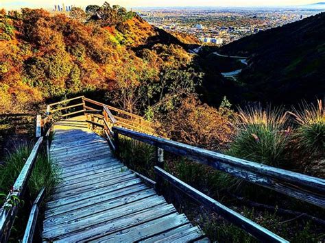 Runyon Canyon Park Los Angeles 2020 All You Need To Know Before You