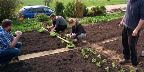 Solidarische Landwirtschaft Solawi Hof Fromburg