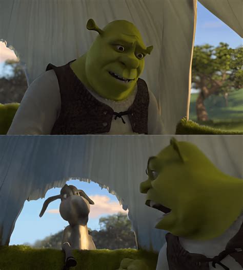 Upscaled Shrek For Five Minutes Meme Template Rmemetemplatesofficial