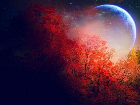 Autumn Night Wallpapers Top Free Autumn Night Backgrounds