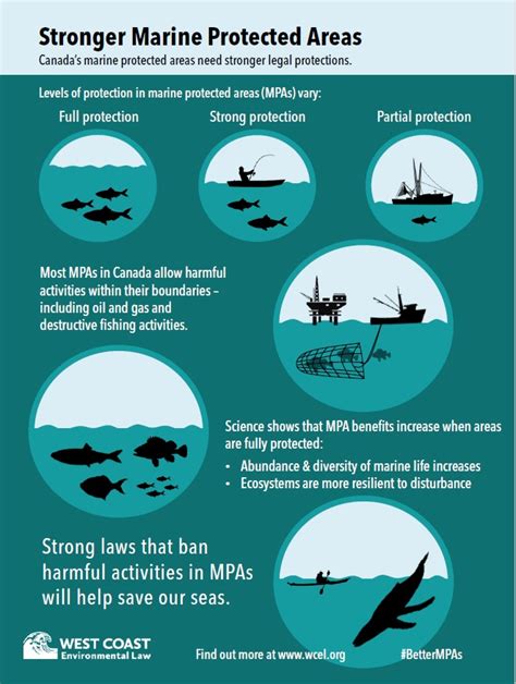 Infographic Stronger Marine Protected Areas West Coast Environmental Law