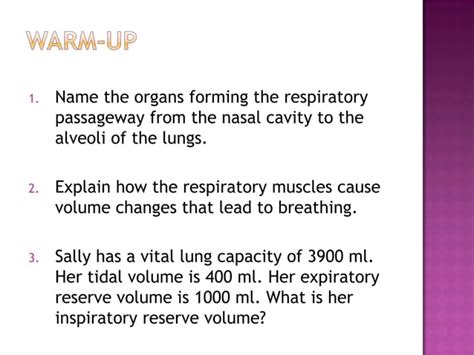 Anatomy And Physiology Lecture Notes Respiratory System Ppt