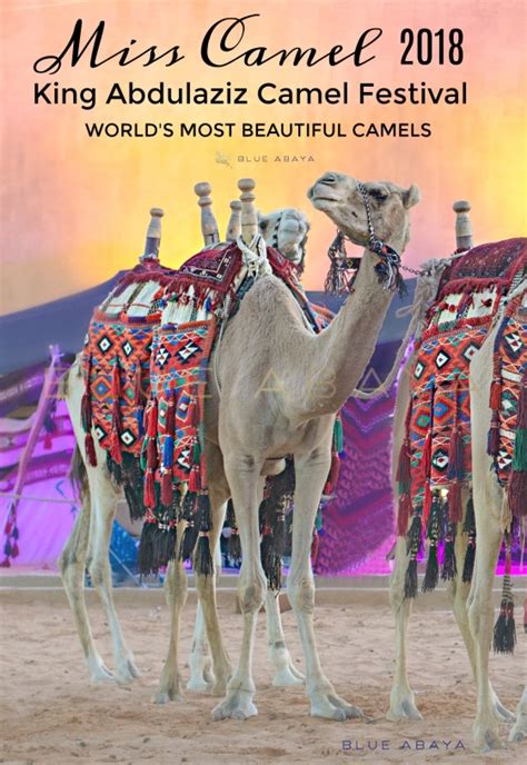 The Camel Festival In Riyadh Saudi Arabia