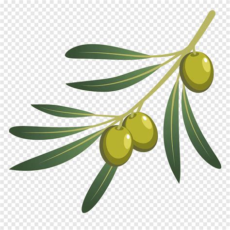Branches Clip Art Preview Olive Clipart Hdclipartall The Best Porn
