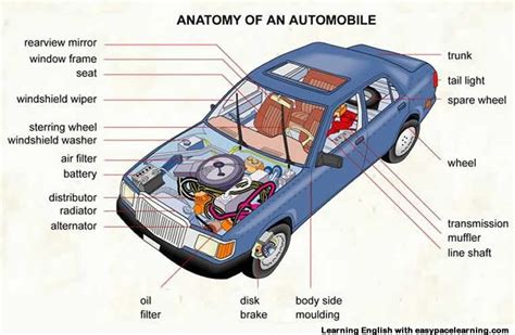 Diagram Of The Inside Of The Car