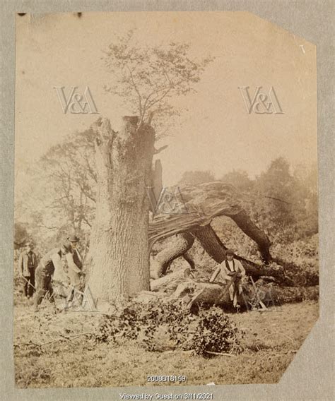 Dundrum Grounds Photo Lady Clementina Hawarden County Tipperary Ireland Mid Th Century V