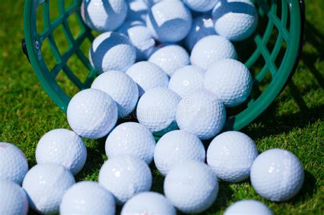 Golf Balls Basket Stock Image Image Of Green Outdoors 49819669