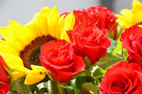 Blumen Blumenstrauß Rose Kostenloses Foto Auf Pixabay Pixabay