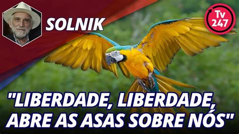 Liberdade Liberdade Abre As Asas Sobre Nós Solnik Comenta Youtube