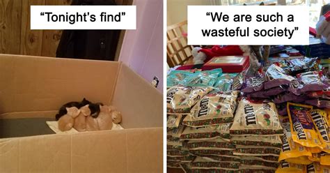 50 Times People Got Lucky While Dumpster Diving Bored Panda