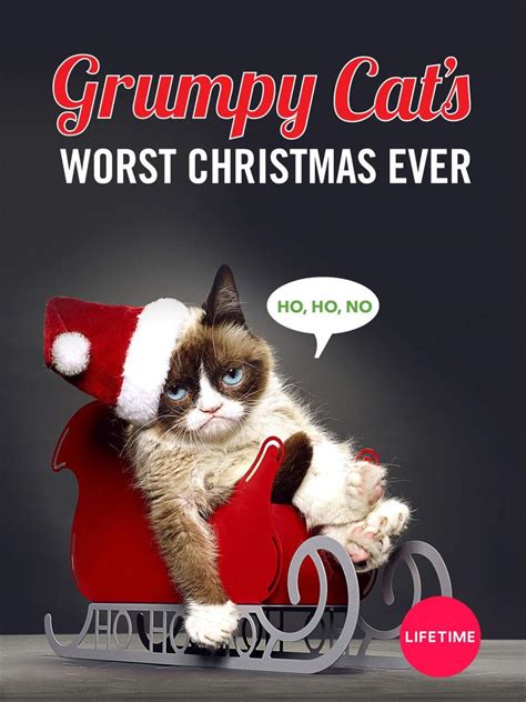 image gallery for grumpy cat s worst christmas ever tv filmaffinity