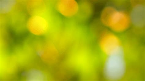 Nature Background 4k Blur Blurred Abstract Bokeh With Sun Flare