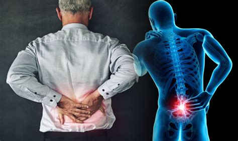 Lower Back Pain A ‘what Why And How Guide Physio Primo Plus