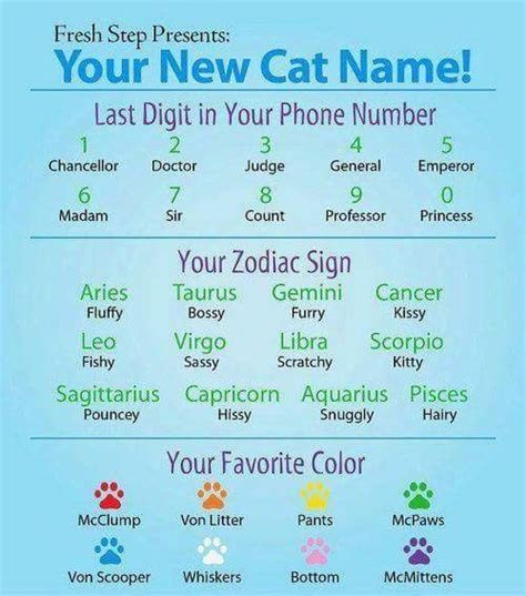 51 Best Images About Whats Your Name Game On