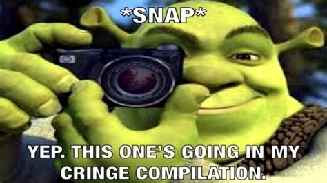 Pin By Axolotlanarchy On Reaction Images Shrek Memes Funny Memes Memes