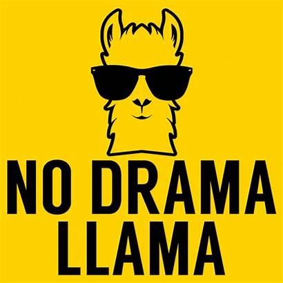Drama Llama Shirt Tees