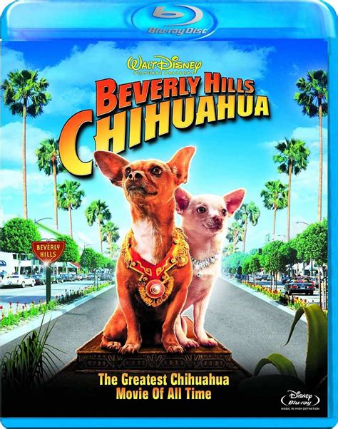 Beverly Hills Chihuahua 8717418202651 Disney Blu Ray Database