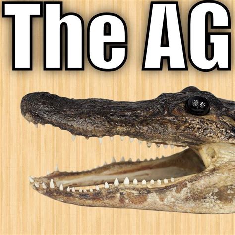 The Aggro Gator Home