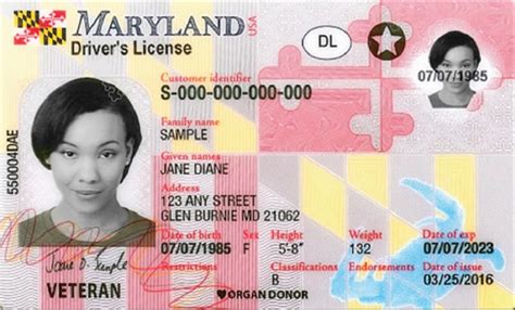 Your First Time Maryland Drivers License Guide Driving Guide