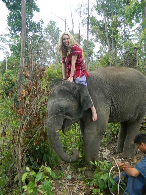 Pin Auf Elephants And Sexy Women 6 Elefantenfuntravel