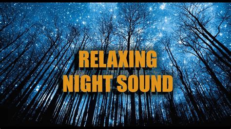 Relaxing Night Sound Youtube