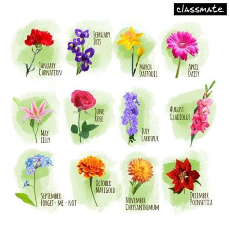 Birth flowers for the months. Flower Tattoo For August Birth | Birth flower tattoos ...
