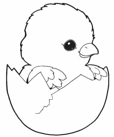 Mewarnai Gambar Ayam Bertelur Kartun Belajar Anak Imagesee