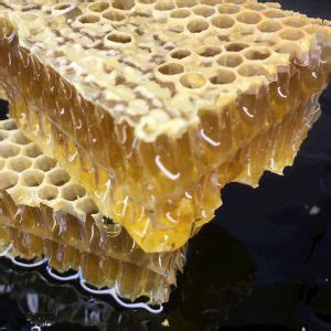 Сотовый Мёд - ApiHouse 🍯 ️😋 Мед в Сотах Прямо из Улья