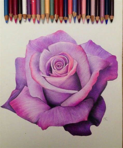 Pin By Carol Dias On Drawing Color Pencil Art Roses Drawing