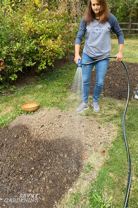 The general steps for seeding a lawn are below, but some types of grass have specific planting and care requirements. How to Plant Grass Seed: A Simple Guide to Success