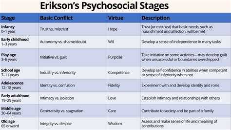 Eriksons Stages Of Development Stages Of Psychosocial Development
