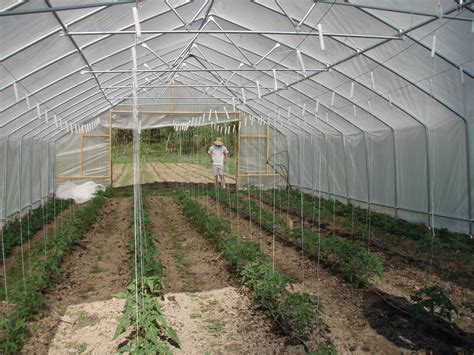 Free Images Tool Soil Greenhouse Green House Conservatory Net
