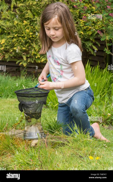 Young Girl Eight Years Old Pond Dipping Catching Pond Life Tadpoles