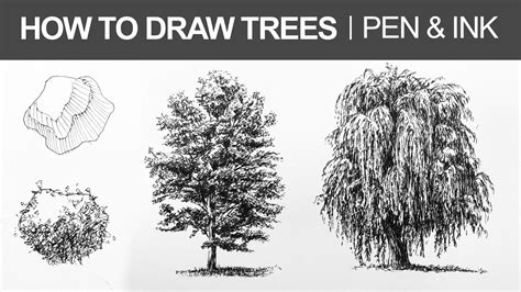 More images for how to draw a fingerprint tree » How to Draw Trees with Pen and Ink - YouTube