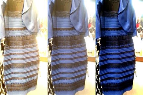 Gold And White Dress Or Blue And Black Dress Hatch Purt
