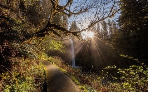 Nature Landscape Forest Waterfall Path Sun Rays