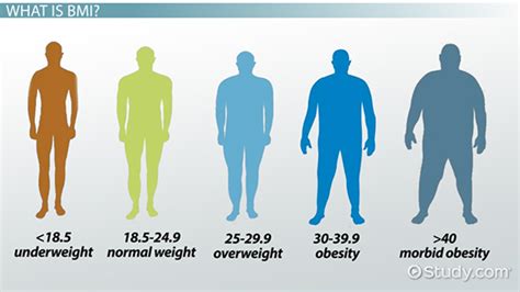 Top 15 Countries By Percentage Of Overweight Or Obese Adults