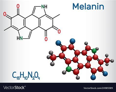 What Is The Chemical Makeup Of Melanin Tutorial Pics